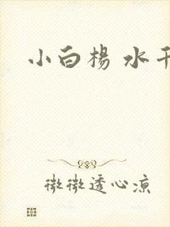 小白杨 水千丞
