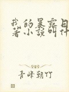 我的暴露日记原著小说叫什么