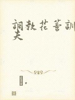 调教花蒂训诫从夫