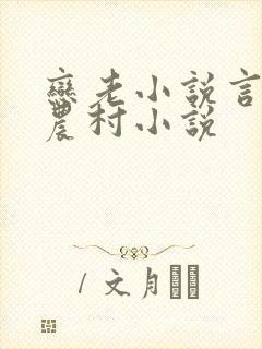 恋老小说言情网农村小说