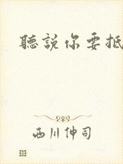 听说你要抵抗我