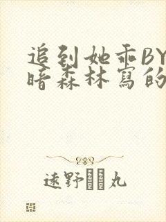 追到她乖BY黑暗森林写的小说