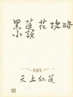 黑莲花攻略手册小说