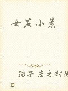 女友小叶