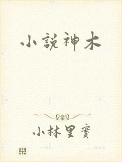 小说神木