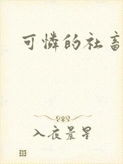可怜的社畜小说