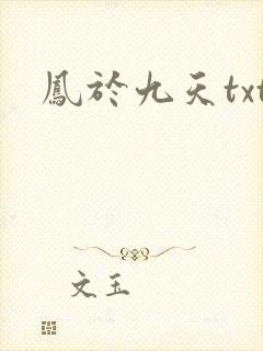 凤于九天txt