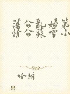 荡公乱妇第1章情公苏雪小说