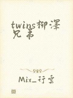 twins柳泽兄弟