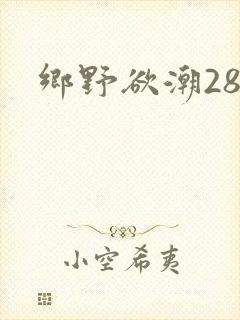 乡野欲潮28章