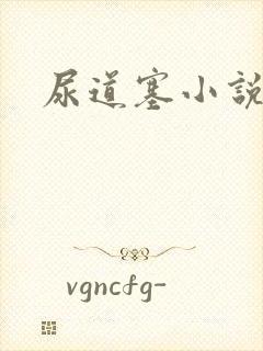 尿道塞小说