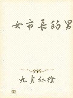 女市长的男秘书