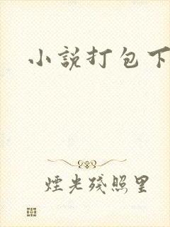 小说打包下载