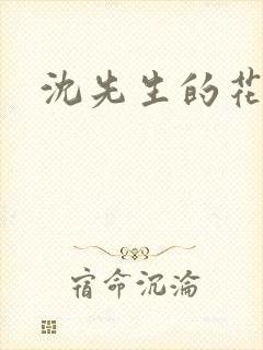 沈先生的花式调