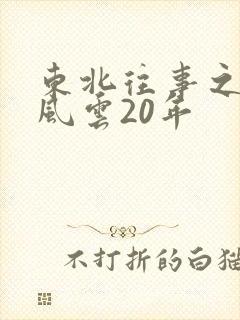东北往事之黑道风云20年