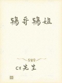 鸨哥鸨姐