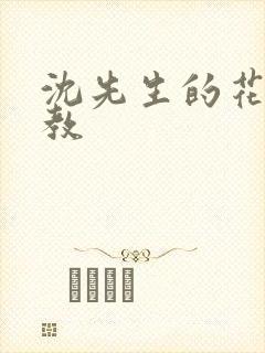 沈先生的花式调教