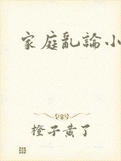 家庭乱论小说