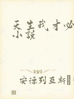 天生我才必有用小说