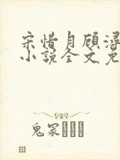 宋惜月顾浔渊的小说全文免费阅读