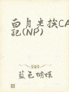 白月光挨CAO记(NP)