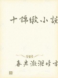 十锦缎小说