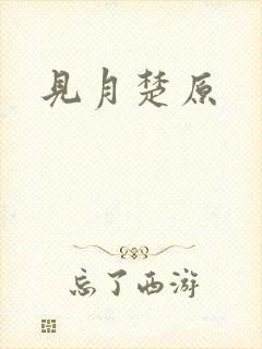 见月楚原
