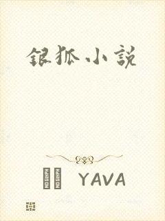 银狐小说