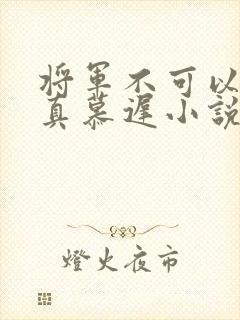 将军不可以魏云真慕迟小说笔趣阁