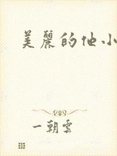 美丽的他小说