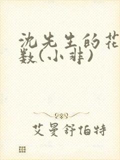 沈先生的花式调数(小非)