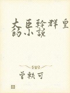 大臣干群皇太后的小说