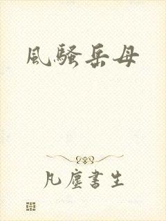 风骚岳母