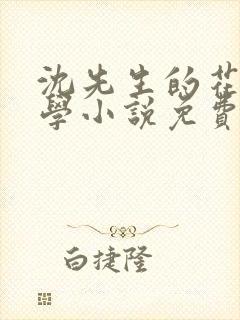 沈先生的花式教学小说免费