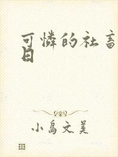 可怜的社畜东度日