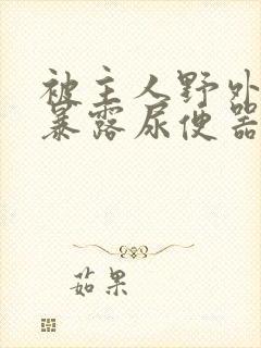 被主人野外调教暴露尿便器