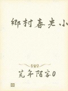 乡村春光小说