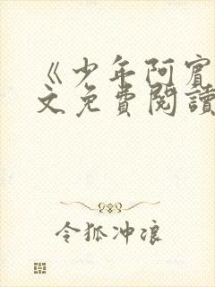 《少年阿宾》全文免费阅读