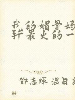 我的媚骨妈妈林轩最火的一句