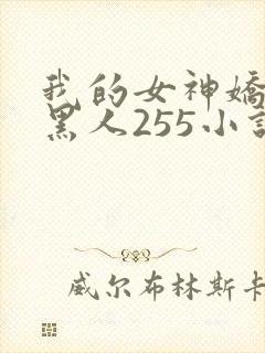 我的女神娇妻与黑人255小说