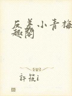 反差小青梅 笔趣阁