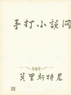 手打小说网
