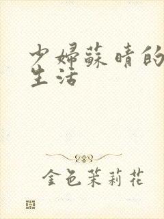 少妇苏晴的性荡生活