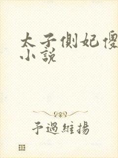 太子侧妃傻乎乎小说