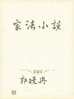 家法小说