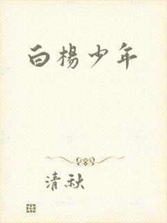 白杨少年
