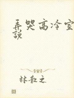 弄哭高冷室友小说