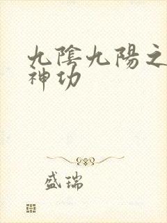 九阴九阳之阴阳神功