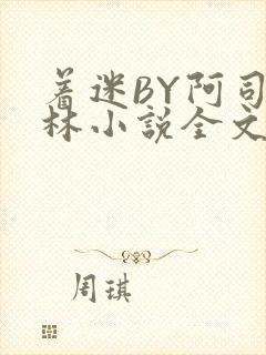 着迷BY阿司匹林小说全文免费阅读