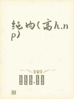 纯肉(高h.np)